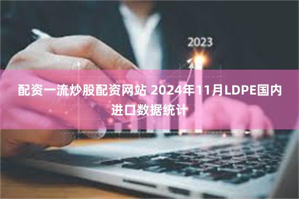 配资一流炒股配资网站 2024年11月LDPE国内进口数据统计